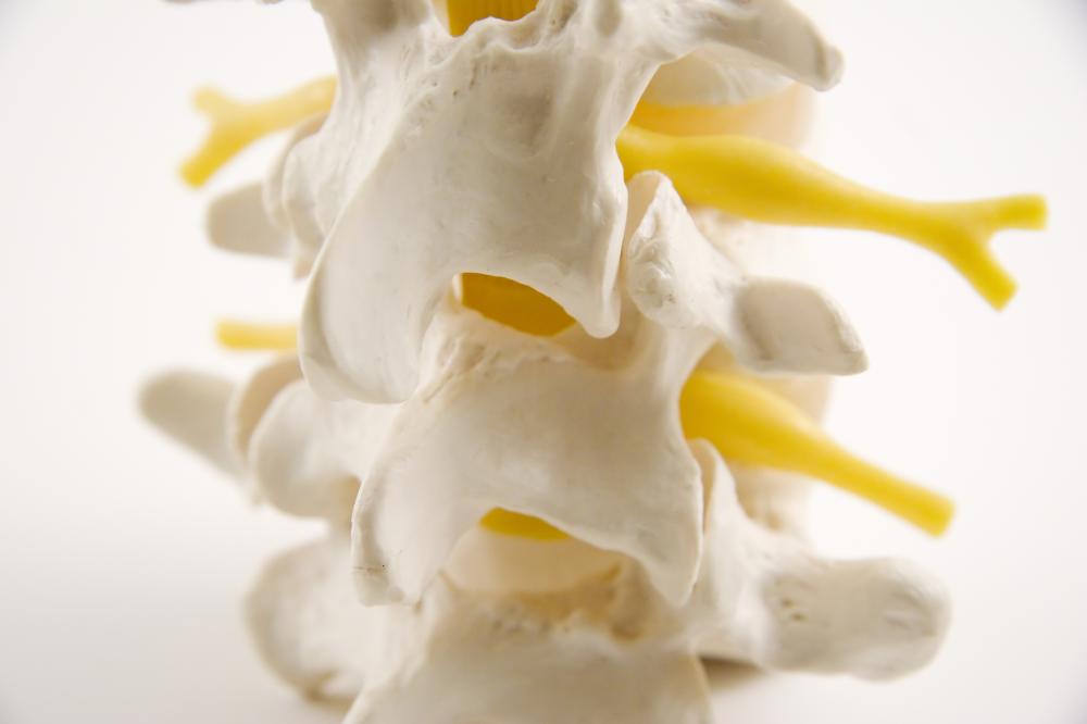 Spine and nerve